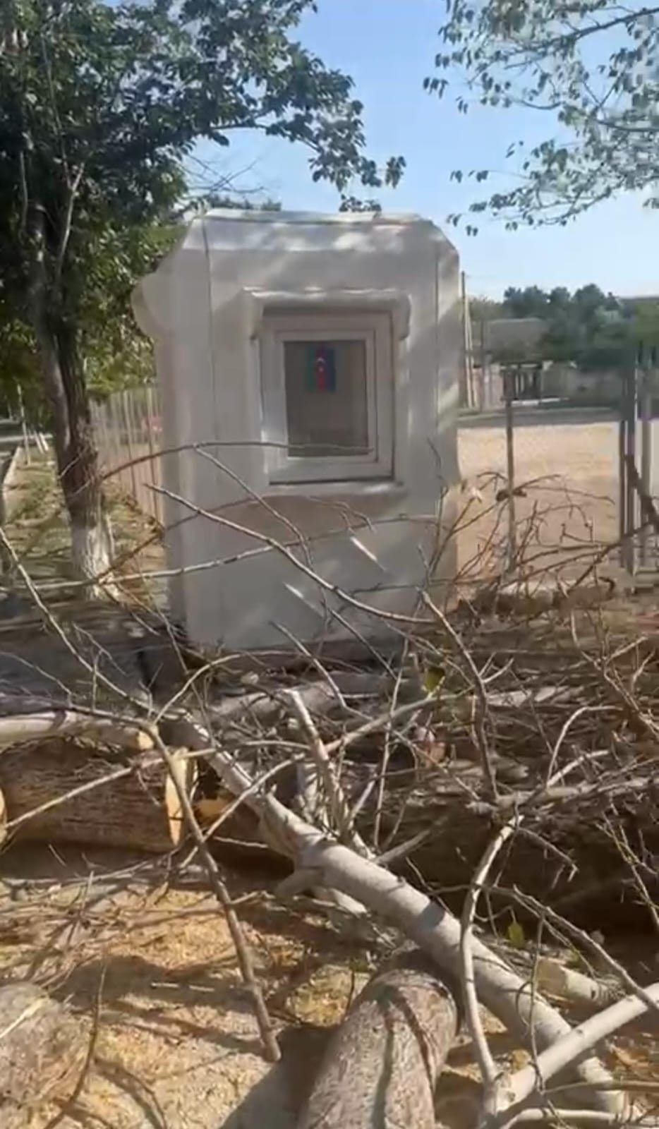 İsmət Qayıbov parkında kəsilən ağacların aqibəti necə oldu !!!