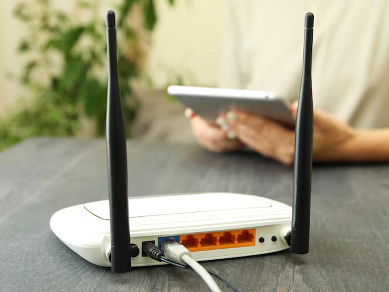 Azərbaycanda internet tarifləri dəyişir - 25 manat olacaq