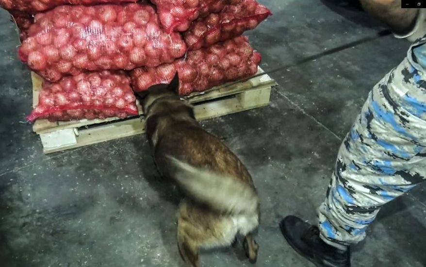 Soğan yükündə 25 kiloqramdan çox marixuana aşkarlandı - FOTO