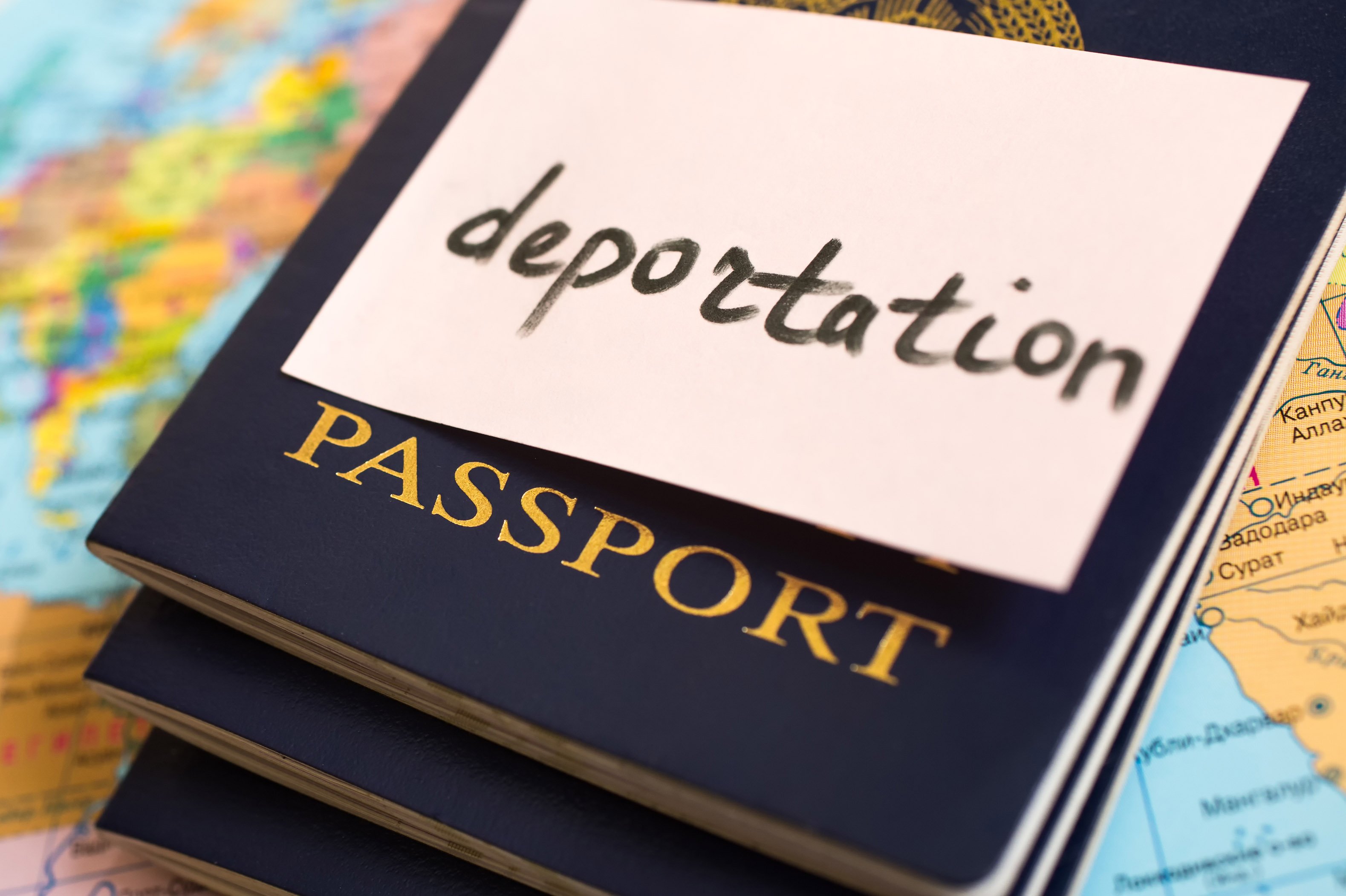 Almaniya erməniləri DEPORT EDİR...